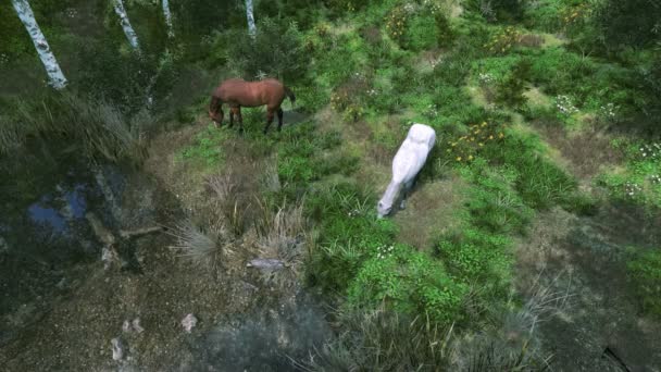 Vista Aérea Dos Caballos Pastando Sobre Hierba Verde Cerca Del — Vídeos de Stock