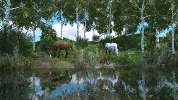Εξοχή Τοπίο Δύο Άλογα Βόσκηση Πράσινο Γρασίδι Κοντά Ήρεμη Λίμνη — Αρχείο Βίντεο