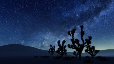 Scenic desert landscape with Joshua tree silhouettes under fantastic starry night sky with Milky Way galaxy stars. With no people nature background 3D illustration from my own 3D rendering.