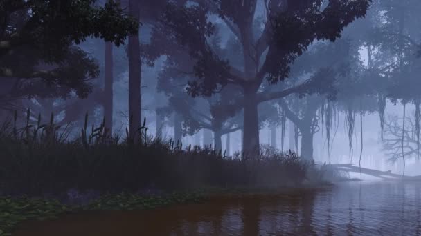 暗い霧の夕暮れや夜に森の川の生い茂った海岸に古い不気味な木のシルエットと神秘的な森の風景 4Kで人のファンタジー3Dアニメーションがレンダリングされません — ストック動画