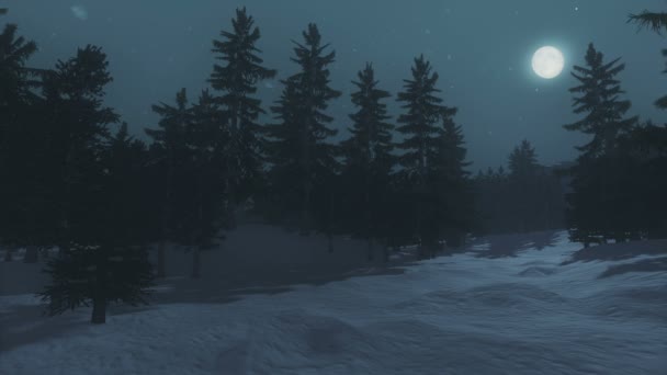Pleine lune au-dessus de la forêt d'épinettes en hiver