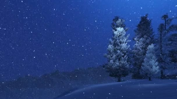 Abeto cubierto de nieve y nevadas por la noche — Vídeos de Stock