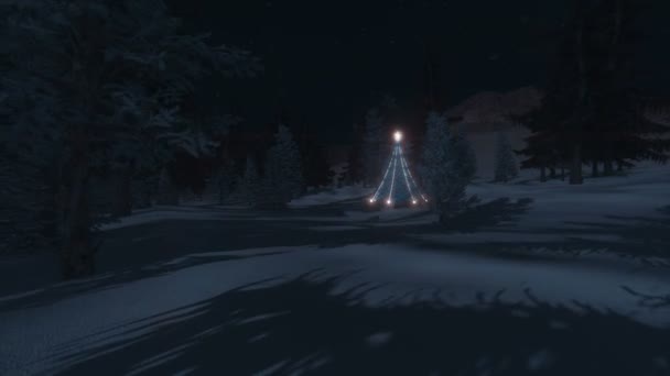 Albero di Natale illuminato tra la foresta notturna — Video Stock