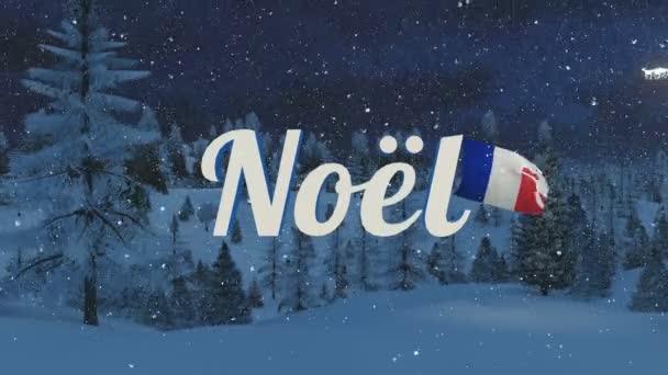 Texte de Noël avec drapeau de France lors de la nuit de neige — Video