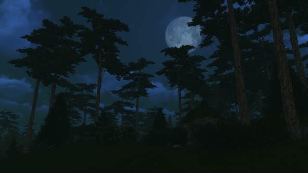 Madera de pino bajo luna llena — Vídeos de Stock