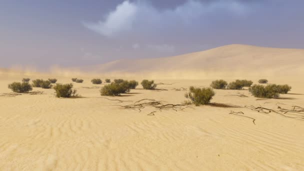 사막 풍경. 시간의 경과 — 비디오