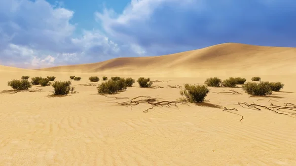 Desert landscape 2 — Stock Photo, Image