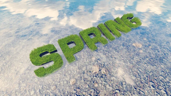 Quelltext aus frischem Gras inmitten eines Wasserstroms 4 — Stockfoto