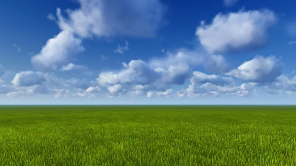 Grama verde e céu azul durante o dia — Fotografia de Stock