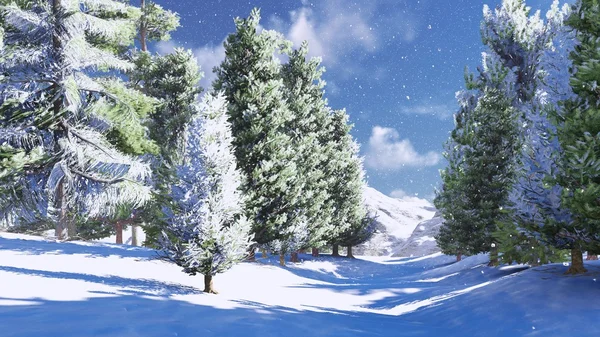 Snowy pine wood in the mountains 2 — Stock Photo, Image