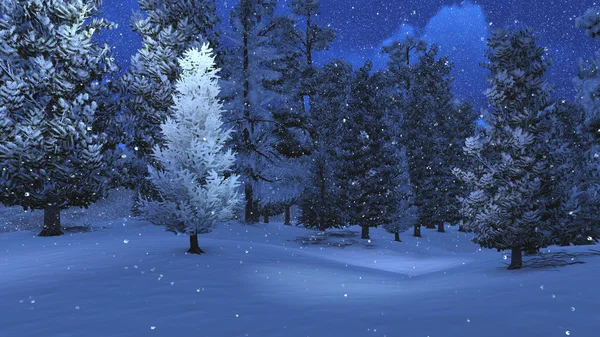 Χειμωνιάτικη νύχτα σε χιονισμένα το πευκοδάσος με 4 — Φωτογραφία Αρχείου