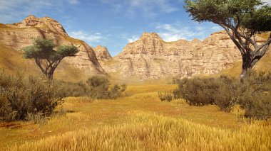 Acacia trees among sandstone cliffs 2