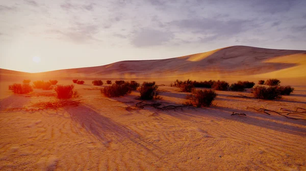 Sunrise or sunset in a desert — Stock Photo, Image