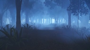 Gece orman üzerinden hareket