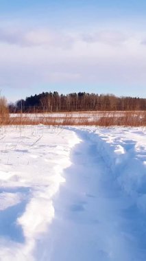 Güneşli bir kış gününde, kar yığınları ve donmuş bitkilerin arasında kar altında ezilmiş boş patikalı kırsal arazinin dikey görüntüsü fırtınalı bir kış günü. Kırsal alanda kimse yok..