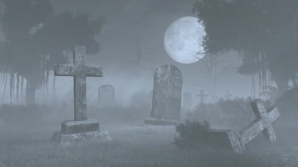 Пухнасте кладовище під великим повним місяцем. Ефект портативної камери — стокове відео