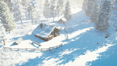 Küçük kulübe ve karlı köknar tepeden görünüm rahat