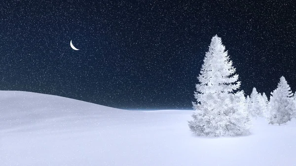 Tanne in der Winternacht mit Raureif bedeckt — Stockfoto