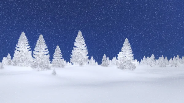 Bosque de picea helada y cielo nocturno — Foto de Stock