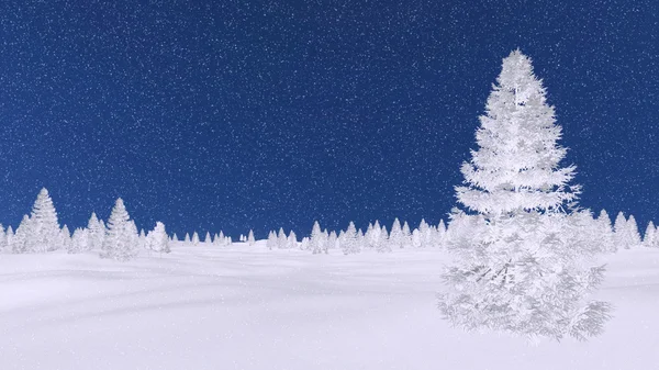 在冬天的夜晚降雪霜冷杉树 — 图库照片