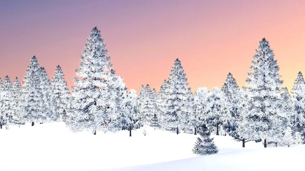 Snowy świerkowego lasu przed zachodem słońca niebo — Zdjęcie stockowe