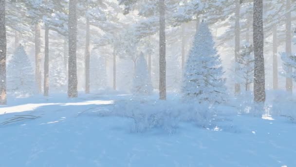 Bosque de pino de invierno en el día de nieve — Vídeos de Stock