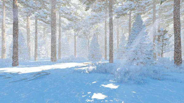 Зимовий сосновий ліс у сонячний день — стокове фото