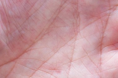 İnsan avucunun görünür çizgileriyle yakınlaş. Deri dokusu arkaplanı