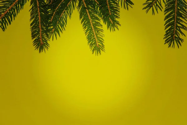 Christmas Tree Branches Yellow Background Light Center Happy New Year — Stock Photo, Image