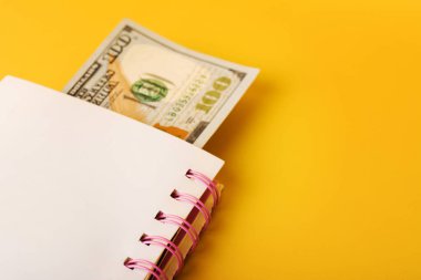 Kitapta kitap ayracı olarak kullanılan dolar banknotu. Finansal başarı kavramı. Seçici yumuşak odak