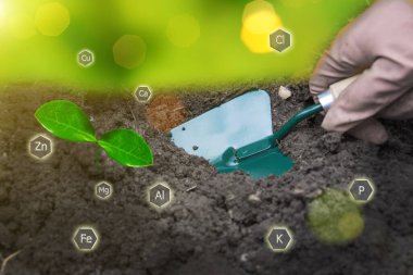Bahçıvan tohum ekme tesisi. Bahçede güneşli bir geçmişi olan mevsimlik işler. Döllenme ve mineral besin konsepti