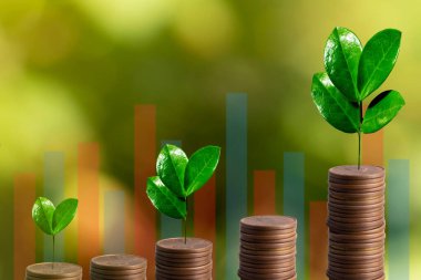 Madeni para ve dijital grafikte büyüyen ağaçla finansal gelişmeler. İş geliştirme, kâr, planlama ve strateji kavramı