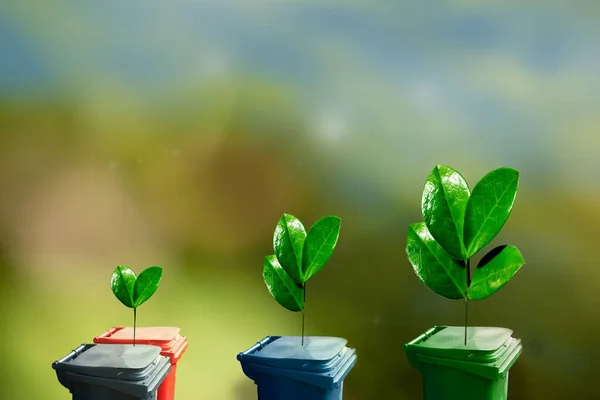 Green Plant Sprouts Garbage Containers Separate Garbage Collection Selection Garbage — Stock Photo, Image