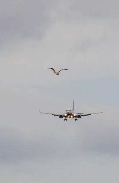 Ryanair Flugzeug Landet Oktober 2020 Auf Dem Flughafen Von Lanzarote — Stockfoto