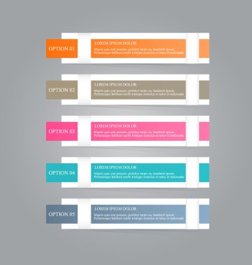 Infographic template with step options for business, startup concept, web design, data visualization, banner, brochure or flyer layouts, presentation, education