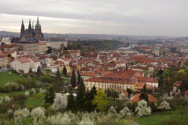 Bahar Prague City ile Gotik Kalesi ve yeşil doğa ve çiçekli ağaçlar, Çek Cumhuriyeti