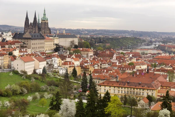 Printemps Prague Ville avec château gothique et la nature verte et des arbres à fleurs, République tchèque — Photo