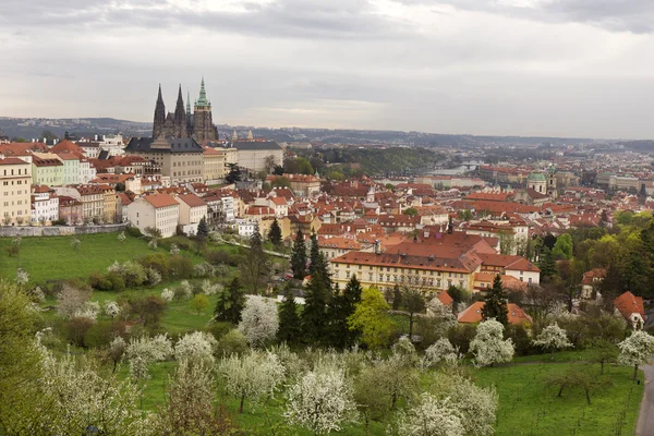 Spring Prague City com Castelo Gótico e o verde Natureza e Floração Árvores, República Checa — Fotografia de Stock