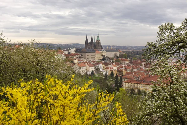 Весенний город с готическим замком и зеленой природой и цветущими деревьями, Чехия — стоковое фото