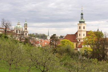 Doğa ve çiçekli ağaçlar, Çek Cumhuriyeti Prag şehir bahar yeşil ile görüntüleyin