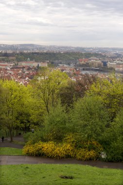 Doğa ve çiçekli ağaçlar, Çek Cumhuriyeti Prag şehir bahar yeşil ile görüntüleyin