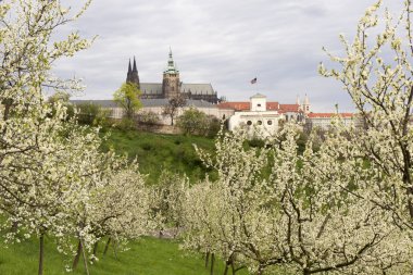 Castle, yeşil doğa ve çiçekli ağaçlar, Çek Cumhuriyeti Gotik yaylı Prag şehir görüntüleyin