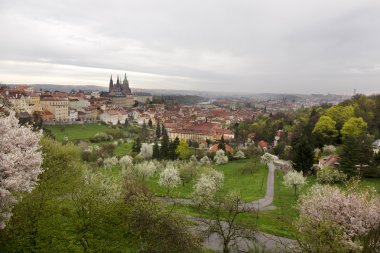Bahar Prague City ile Gotik Kalesi ve yeşil doğa ve çiçekli ağaçlar, Çek Cumhuriyeti