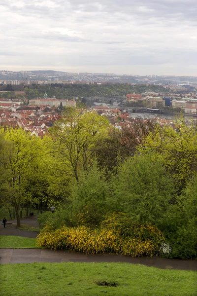 Vista sobre a primavera Praga Cidade com o verde Natureza e árvores floridas, República Checa — Fotografia de Stock