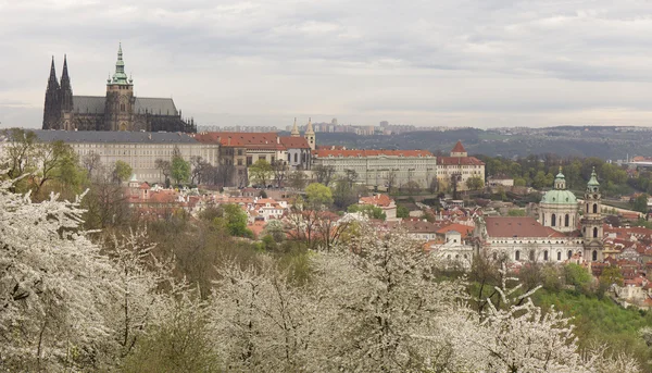 Jaro Prague City s gotického hradu a zelené přírody a kvetoucích stromů, Česká republika — Stock fotografie