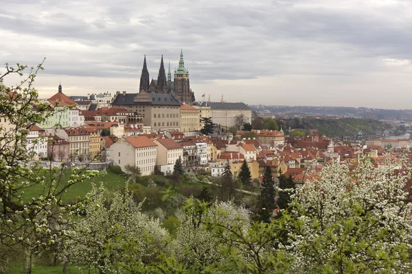 Frühling Prag Stadt mit gotischer Burg und der grünen Natur und blühenden Bäumen, Tschechische Republik — Stockfoto