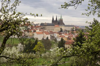 Castle, yeşil doğa ve çiçekli ağaçlar, Çek Cumhuriyeti Gotik yaylı Prag şehir görüntüleyin