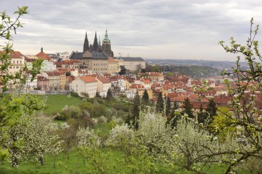 Castle, yeşil doğa ve çiçekli ağaçlar, Çek Cumhuriyeti Gotik yaylı Prag şehir görüntüleyin