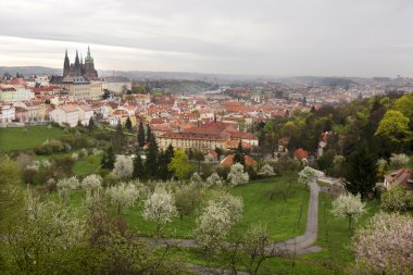 Castle, yeşil doğa ve çiçekli ağaçlar, Çek Cumhuriyeti Gotik yaylı Prag şehir görüntüleyin