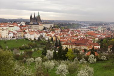 Castle, yeşil doğa ve çiçekli ağaçlar, Çek Cumhuriyeti Gotik yaylı Prag şehir görüntüleyin